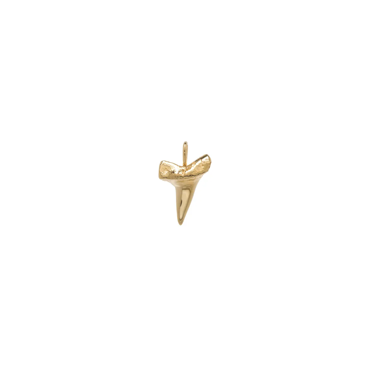 14k Shark Tooth Charm