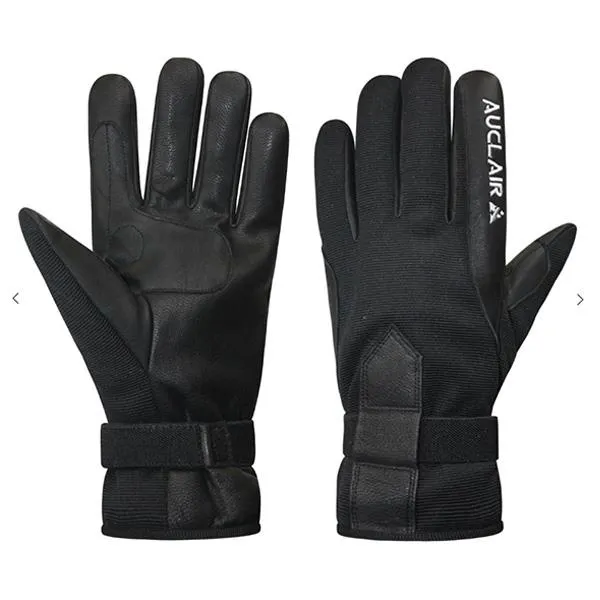 Auclair Lillehammer Glove (men's)