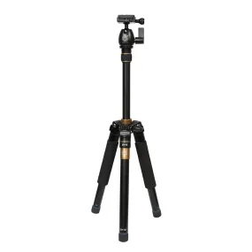 Beike Convertible Professional Traveller Folding Monopod/ Tripod with Ball Head (QZSD-555)