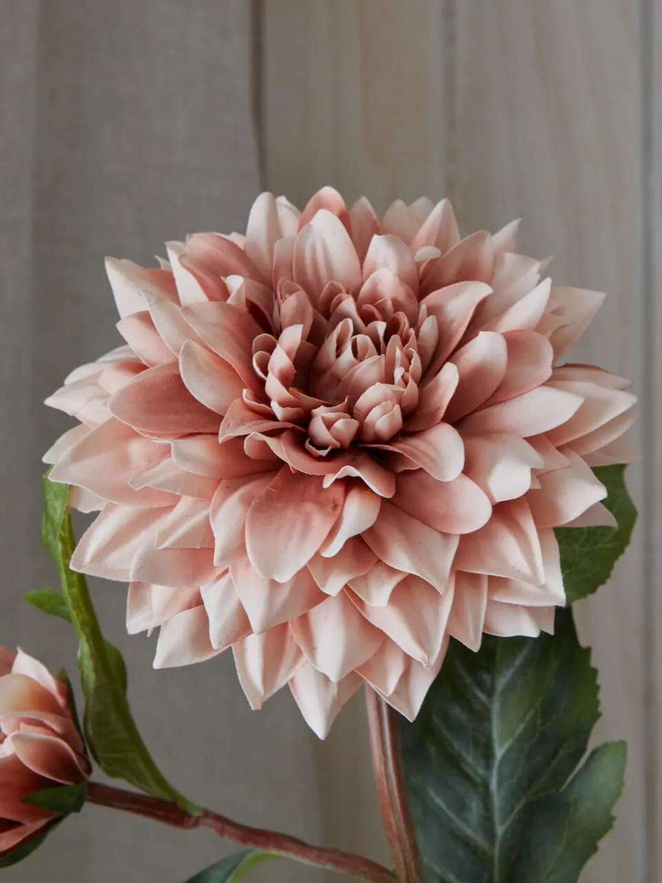 Faux Coffee Cream Dahlia  Set of 3 Stems