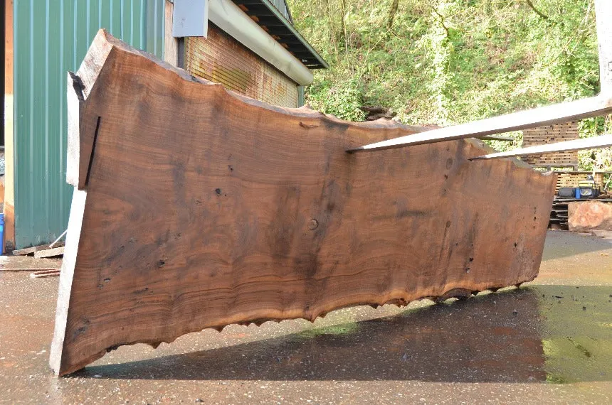 Oregon Black Walnut Slab 040122-05