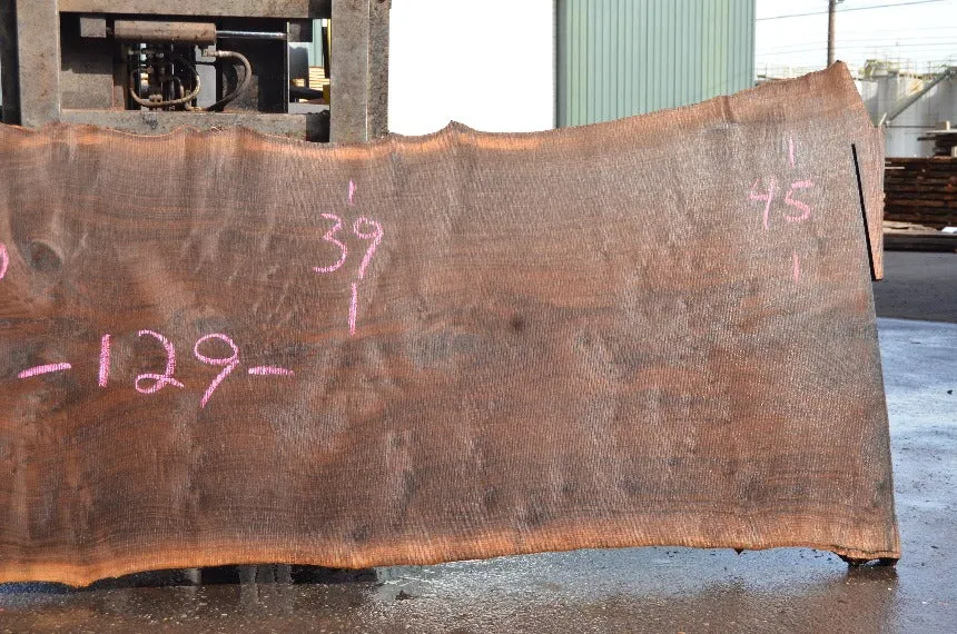 Oregon Black Walnut Slab 040122-05