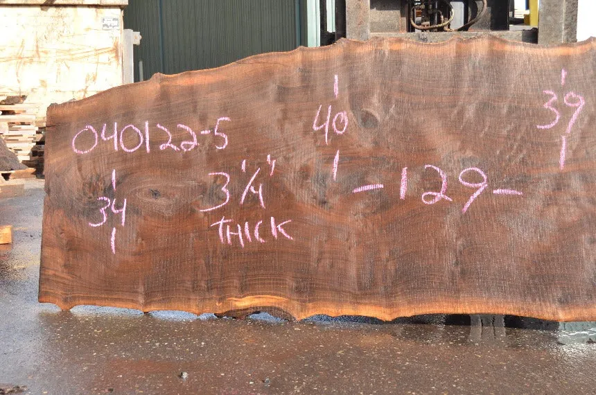 Oregon Black Walnut Slab 040122-05